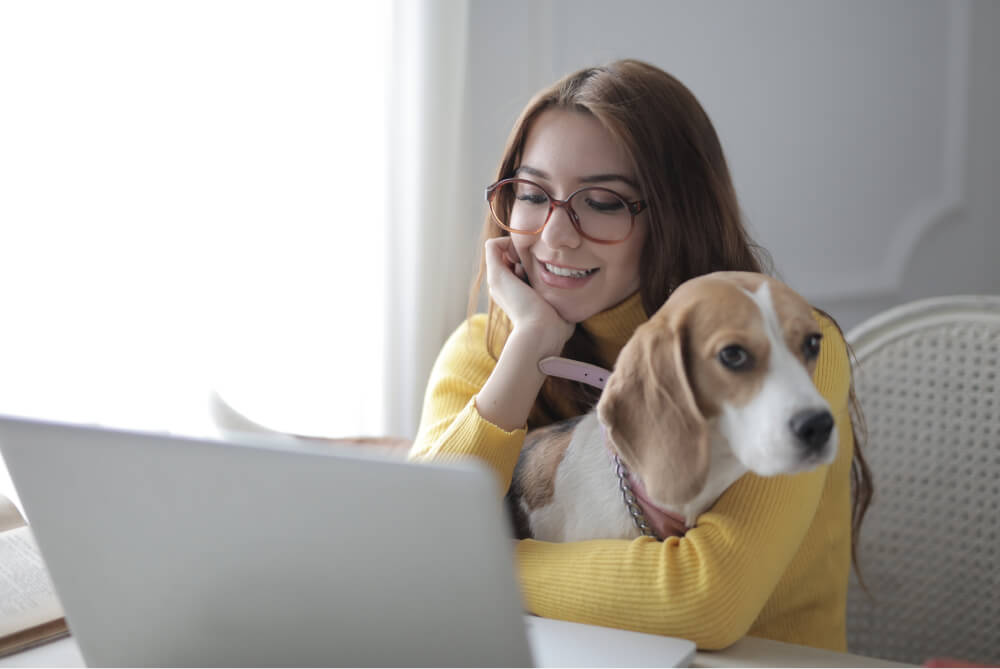 Adotar cachorro online: conheça 12 sites para adotar um pet | Blog Dog Life