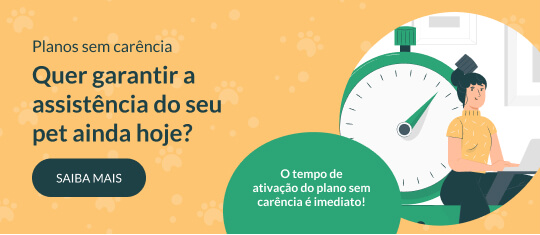 Saúdepets - Planos de Saúde Pet - Consultoria on X: Sou muito fofo! I'm  Very fluffy! #cao #cachorro #canino #dog #pet #animal #puppy   / X